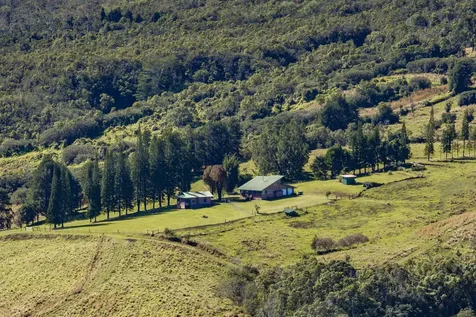 35-1183 Homestead Road Laupahoehoe HI 96764