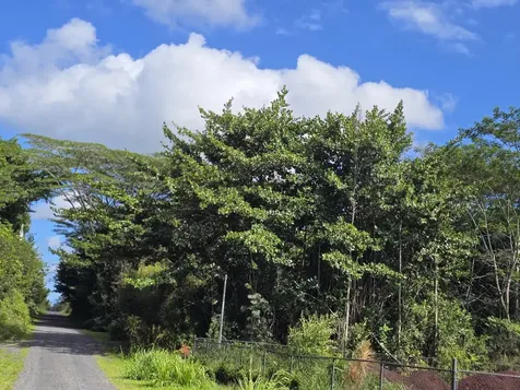 15-1414 12th Avenue Keaau HI 96749