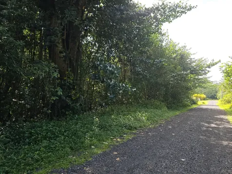 15-1414 12th Avenue Keaau HI 96749