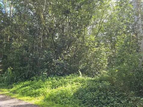 15-1414 12th Avenue Keaau HI 96749