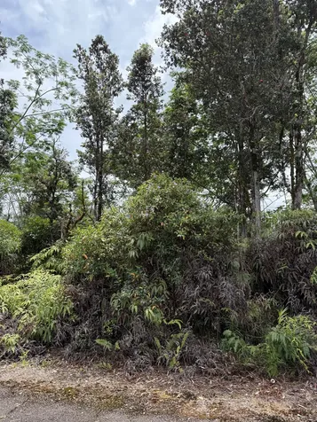 Puainako Street Extension Hilo HI 96720