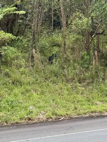 Puainako Street Extension Hilo HI 96720