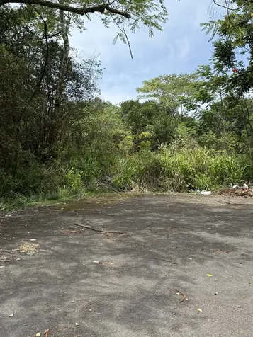 Puainako Street Extension Hilo HI 96720