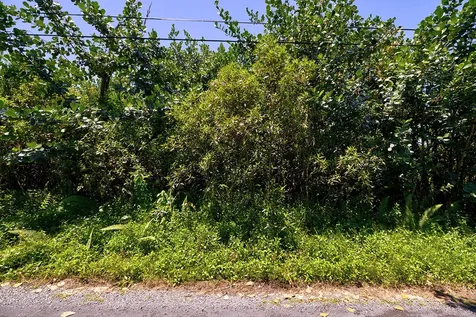 Amau Road Keaau HI 96749