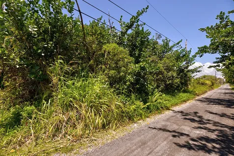 Amau Road Keaau HI 96749