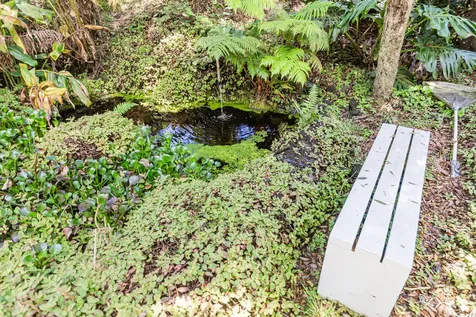 99-1846 Painiu Loop Volcano HI 96785