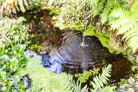 99-1846 Painiu Loop Volcano HI 96785