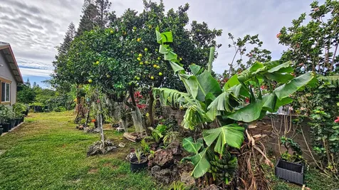 94-6491 Kamaoa Road Naalehu HI 96772