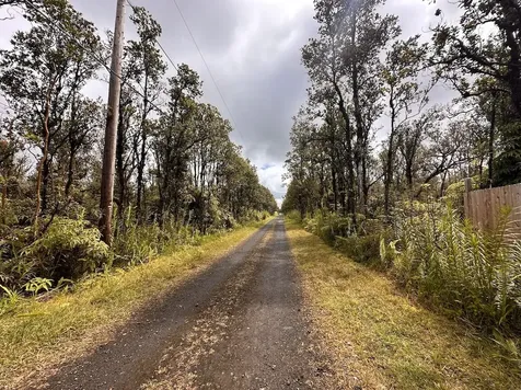 Mahina Street Mountain View HI 96771