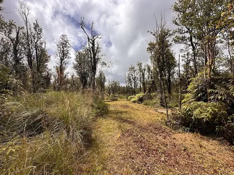 Mahina Street Mountain View HI 96771