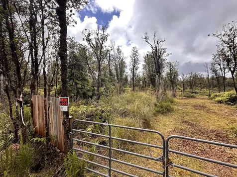 Mahina Street Mountain View HI 96771