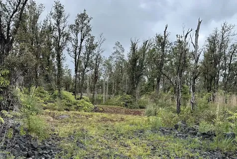 Mahina Street Mountain View HI 96771