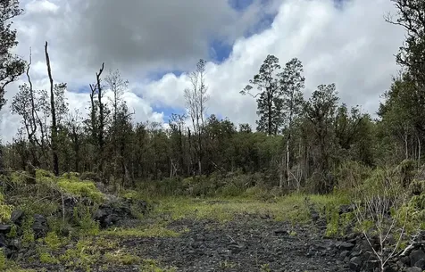 Mahina Street Mountain View HI 96771