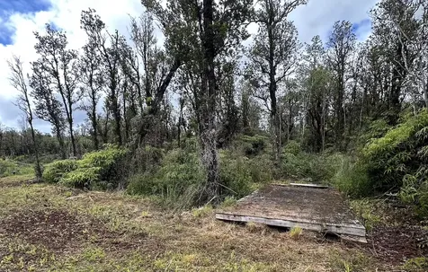 Mahina Street Mountain View HI 96771