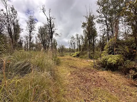 Mahina Street Mountain View HI 96771
