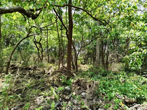 89-768 Lani Kona Road Captain Cook HI 96704