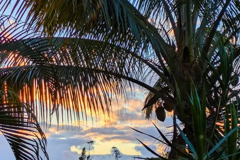 15-1429 22nd Avenue Keaau HI 96749