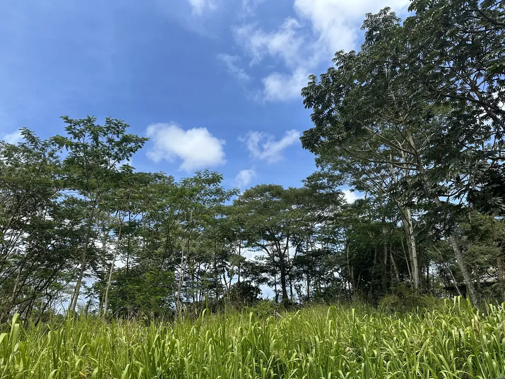 Tiki Road Keaau HI 96749