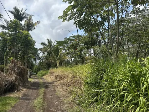 Tiki Road Keaau HI 96749