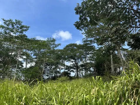 Tiki Road Keaau HI 96749