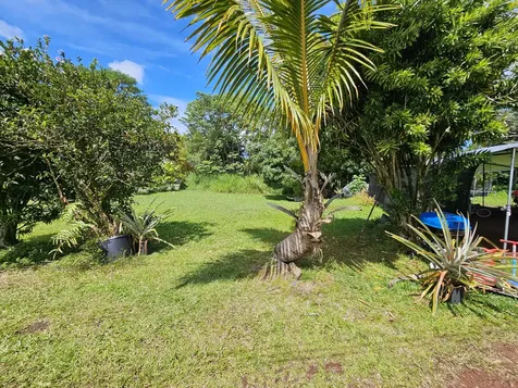 15-1483 28th Avenue Keaau HI 96749