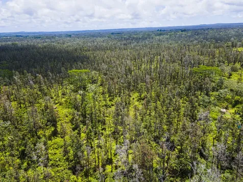 Aulii Street Keaau HI 96749