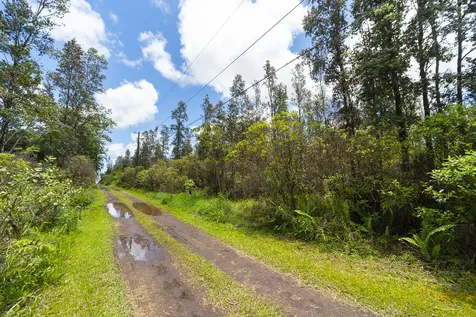 Aulii Street Keaau HI 96749