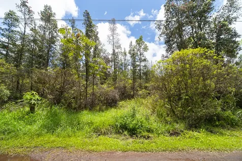 Aulii Street Keaau HI 96749