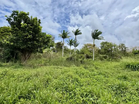 82-1226 Kinue Road Captain Cook HI 96704