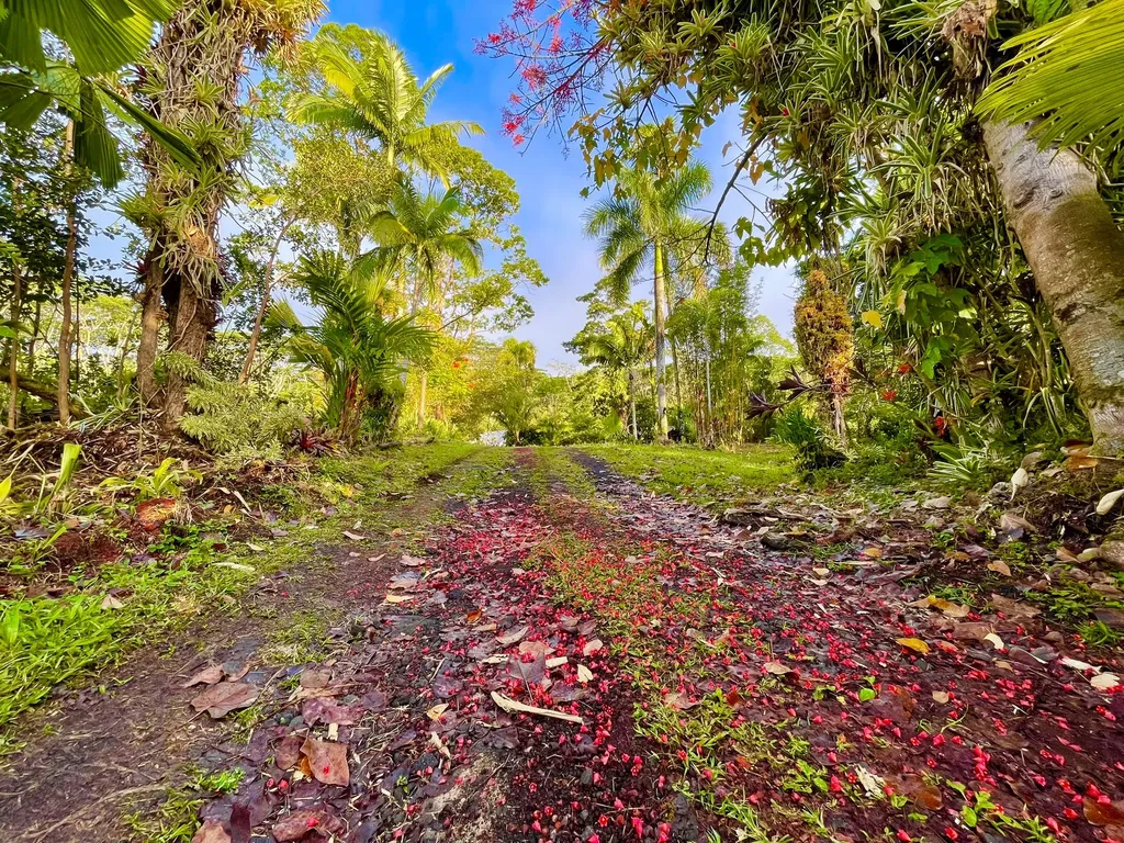 13-3980 Pahoa Kalapana Road Pahoa HI 96778