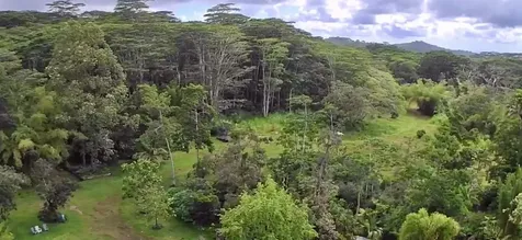 13-3980 Pahoa Kalapana Road Pahoa HI 96778