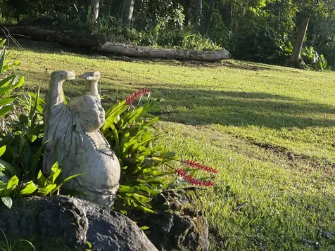 13-3980 Pahoa Kalapana Road Pahoa HI 96778