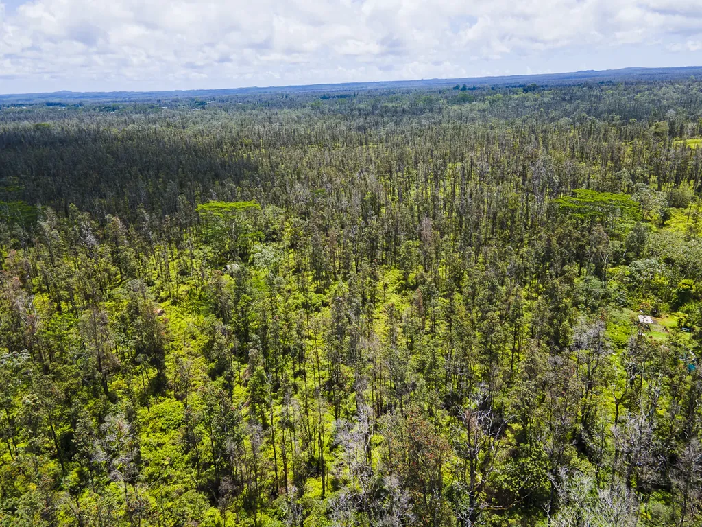 Aulii Street Keaau HI 96749