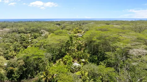 15-2076 12th Avenue Keaau HI 96749