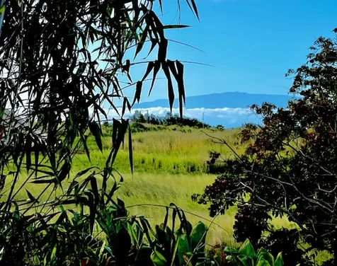 54-322 Union Mill Road Kapaau HI 96755