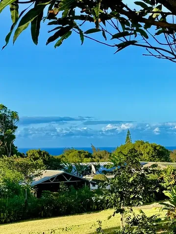 54-322 Union Mill Road Kapaau HI 96755