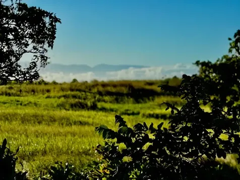 54-322 Union Mill Road Kapaau HI 96755