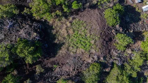 Pikake Avenue Captain Cook HI 96704