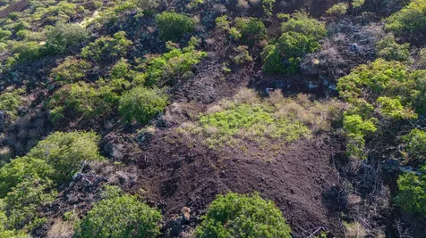 Pikake Avenue Captain Cook HI 96704