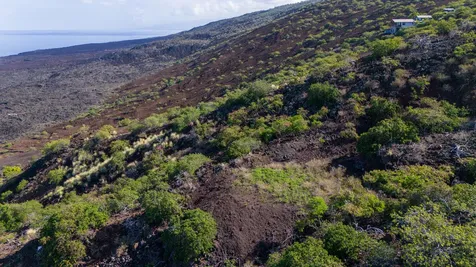 Pikake Avenue Captain Cook HI 96704