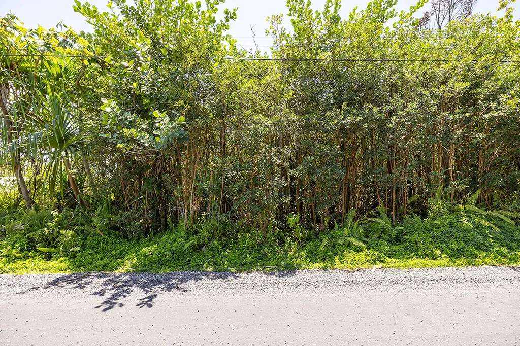10th Avenue Keaau HI 96749