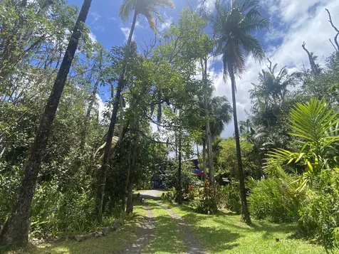 16-355 Melekule Street Kurtistown HI 96760