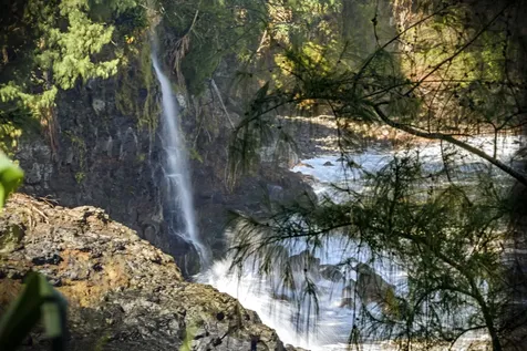 28-3628 Hawaii Belt Road Honomu HI 96728