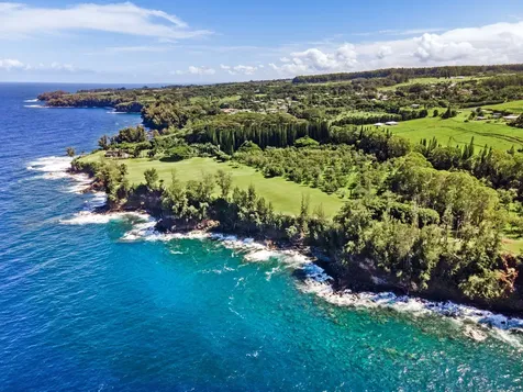 28-3628 Hawaii Belt Road Honomu HI 96728