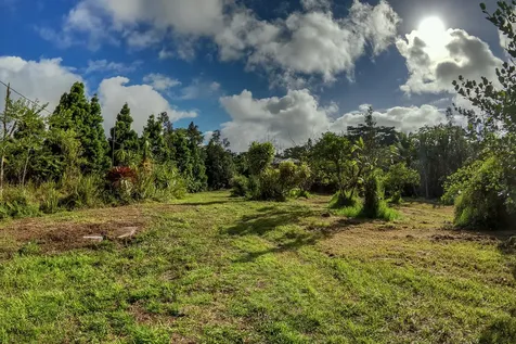 16-1046 Opeapea Road Mountain View HI 96760