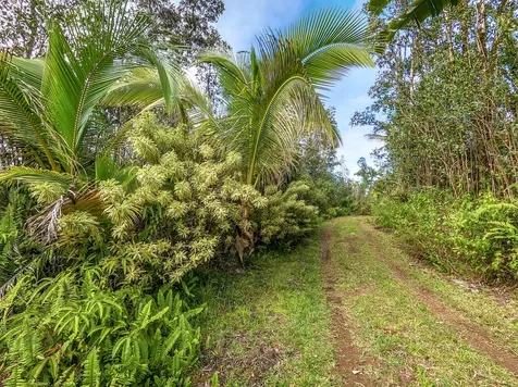 16-1046 Opeapea Road Mountain View HI 96760