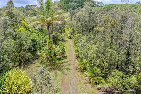 16-1046 Opeapea Road Mountain View HI 96760