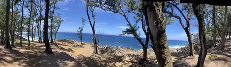 45-5060 Nanaina Kai Road Honokaa HI 96727