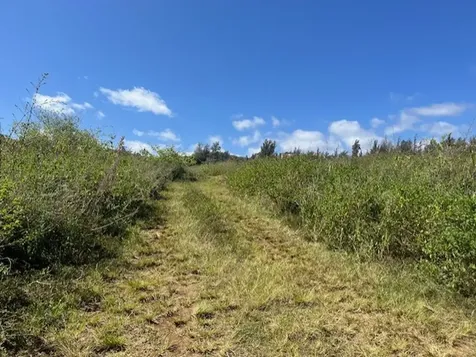 45-5060 Nanaina Kai Road Honokaa HI 96727