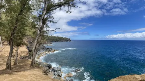 45-5060 Nanaina Kai Road Honokaa HI 96727